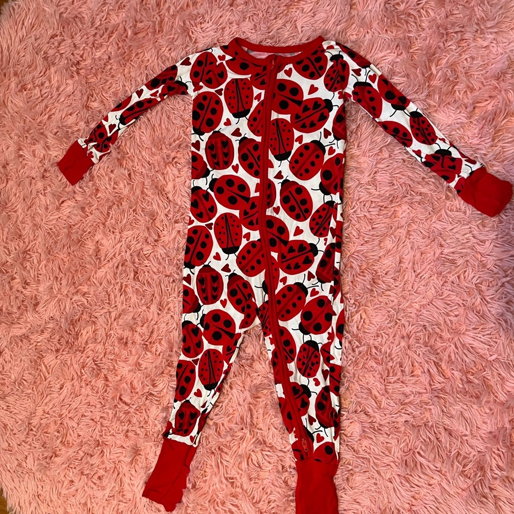 Little Sleepies ladybugs zippy